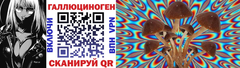 Купить  Тайшет  Псилоцибиновые грибы мицелий 